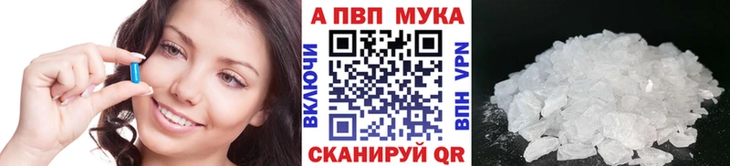Alfa_PVP СК КРИС  Бологое 
