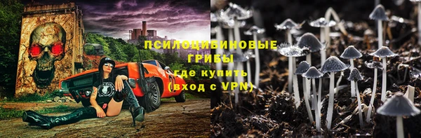 гидра Алзамай